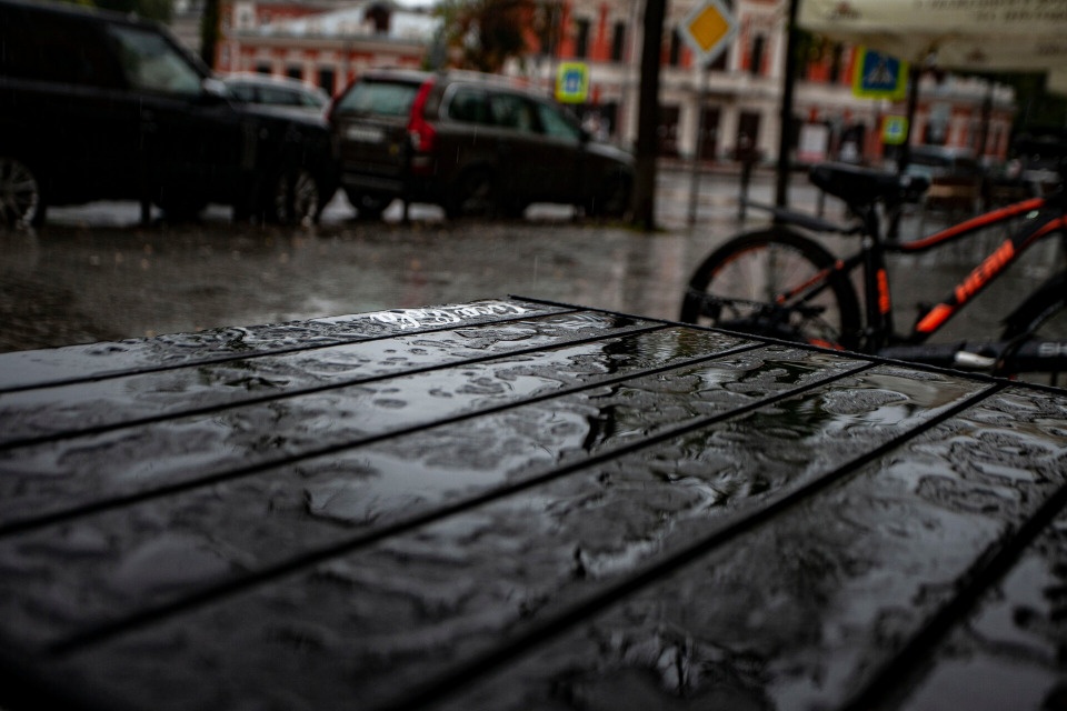 До +6 градуса прогнозируется в Псковской области 19 ноября