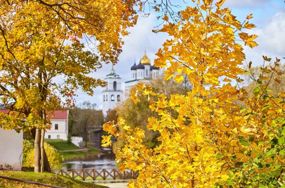 До +6 градусов и сильный ветер прогнозируются в Псковской области 20 ноября