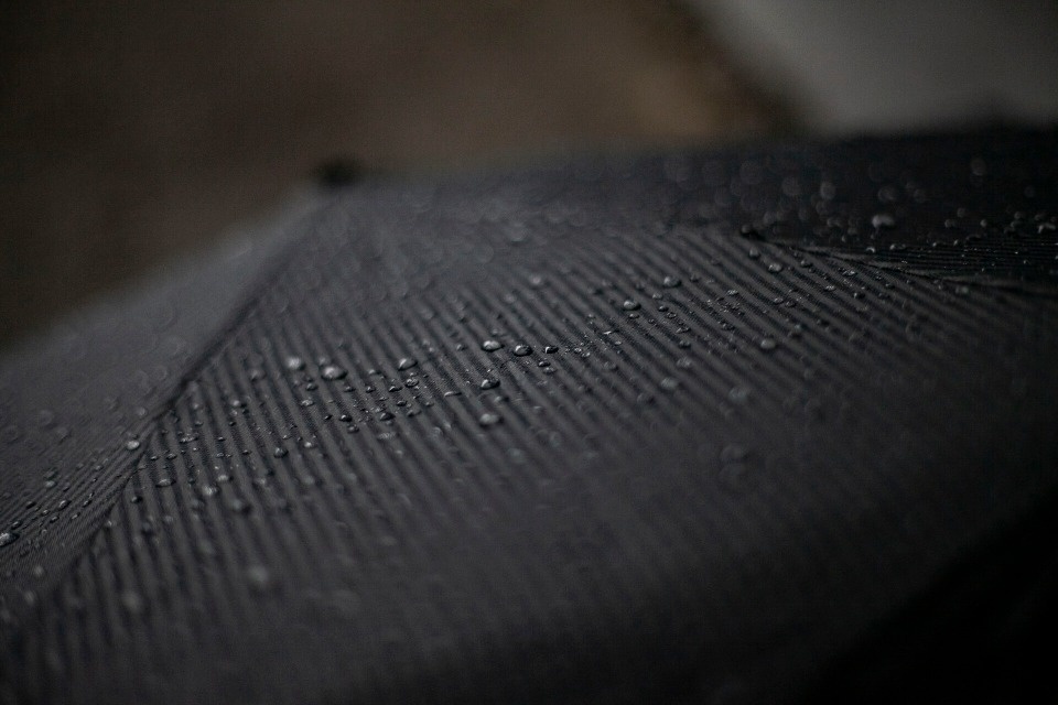 Небольшой дождь и до +6 градусов ожидаются в Псковской области 20 ноября