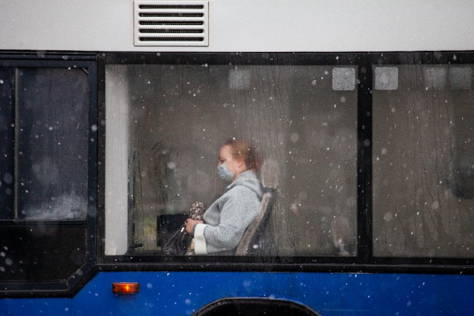 До +5 градусов прогнозируется в Псковской области 21 ноября