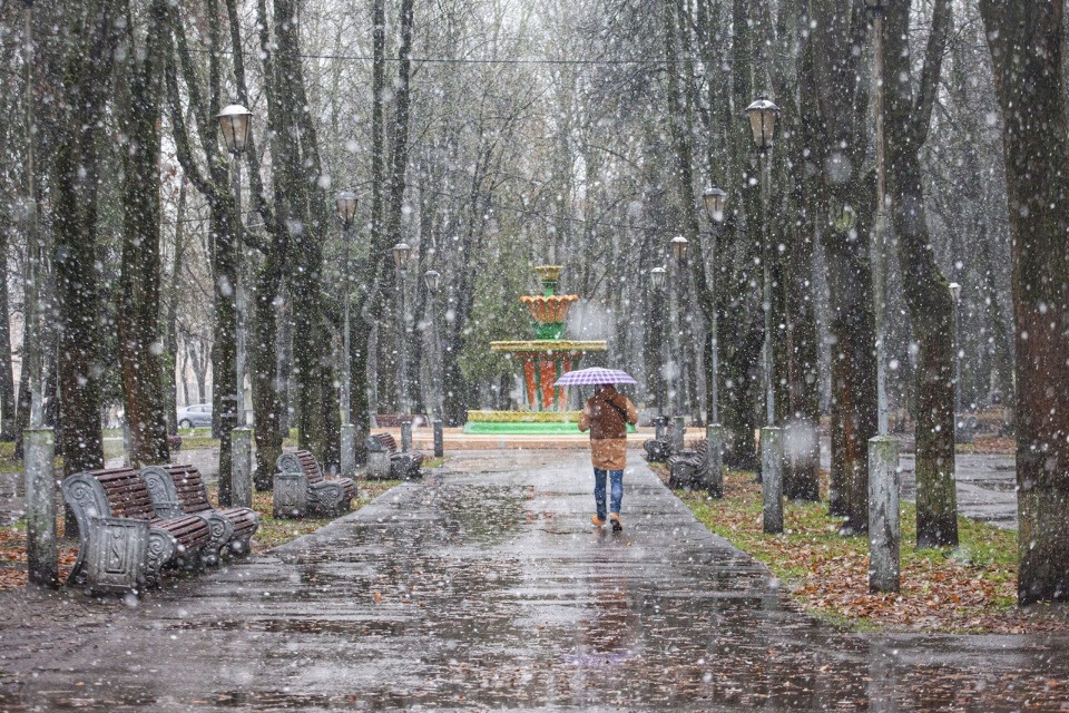 Мокрый снег и до +1 градуса ожидаются в Псковской области 23 ноября