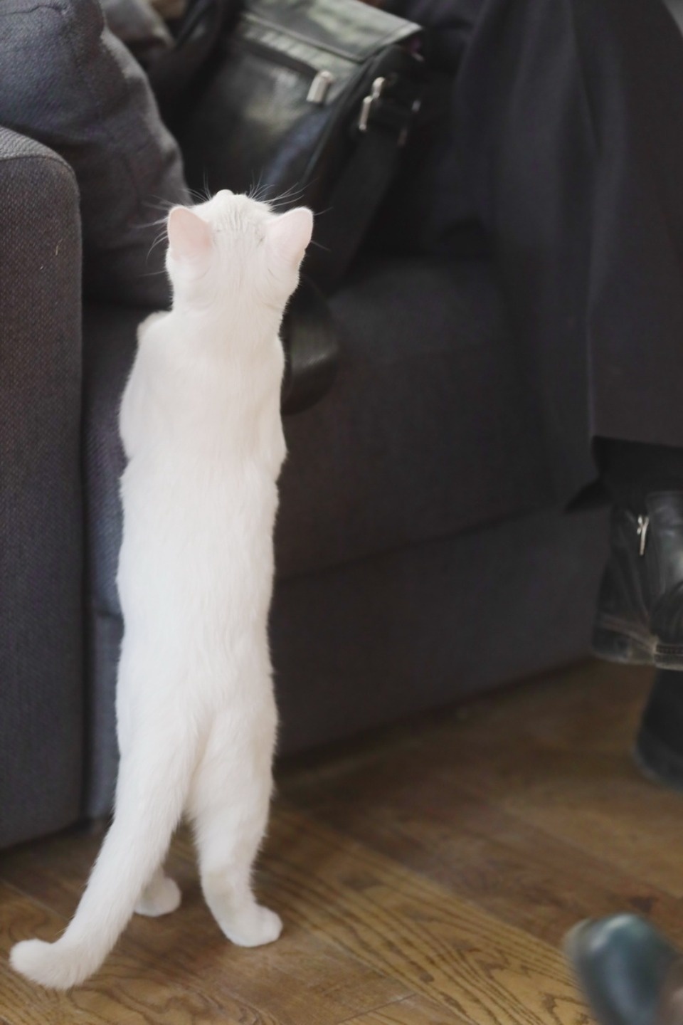 #разговорвлофте