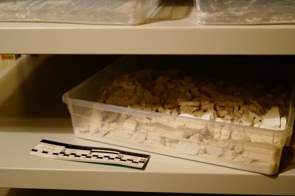 Полицейские выявили нарколабораторию в Псковской области и задержали открывшего её петербуржца