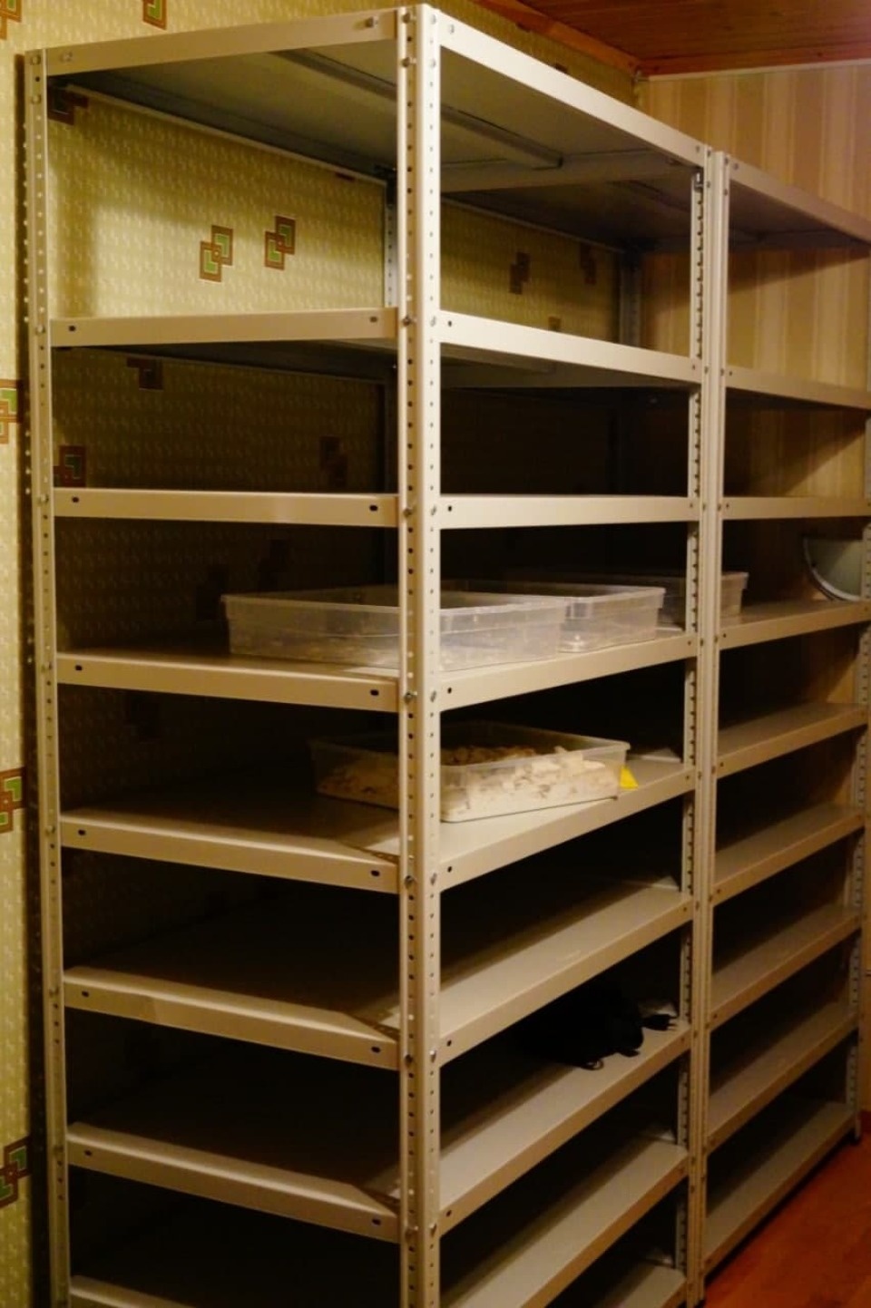 Полицейские выявили нарколабораторию в Псковской области и задержали открывшего её петербуржца