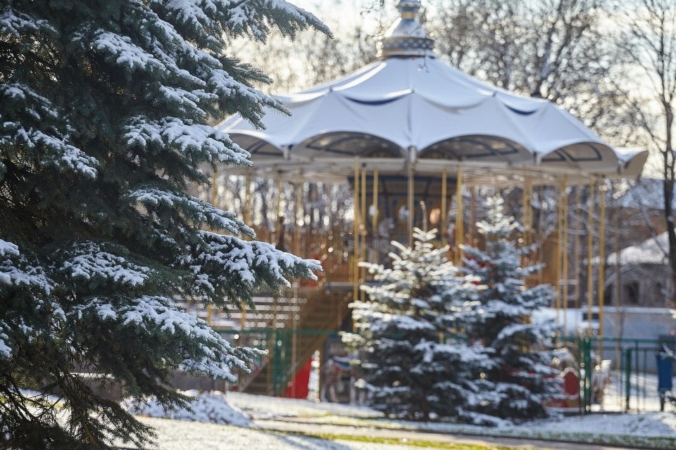 Снег и до +1 градуса прогнозируются в Псковской области 28 ноября