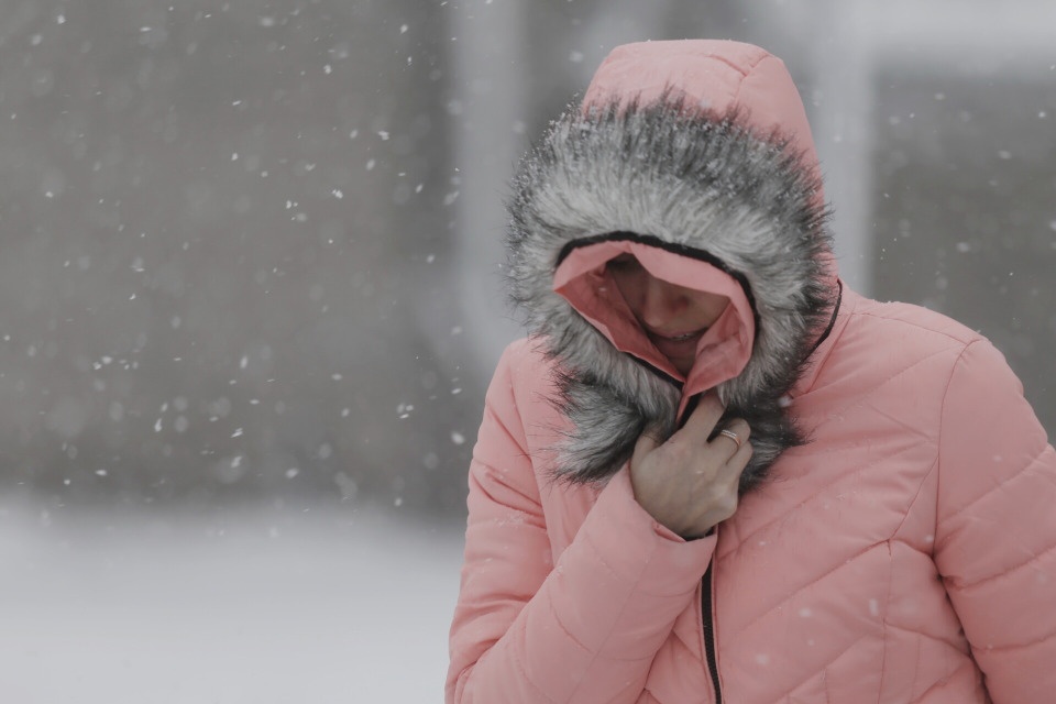 Сильный снегопад ожидается 29 и 30 ноября в Псковской области