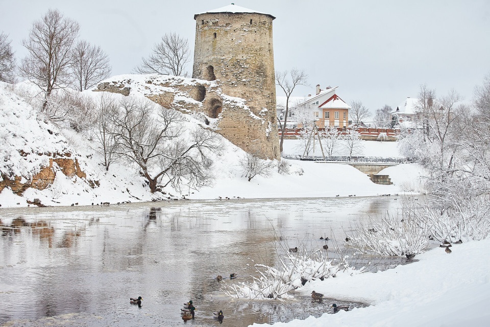 Снегопад и метель ожидают Псковскую область 30 ноября
