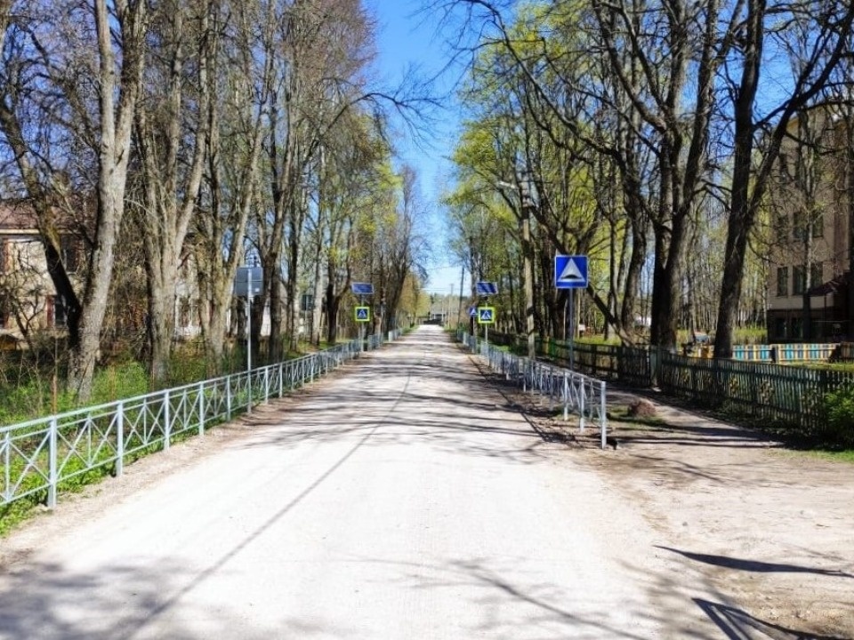 22 пешеходных перехода около образовательных учреждений обустроили в Псковской области с начала года