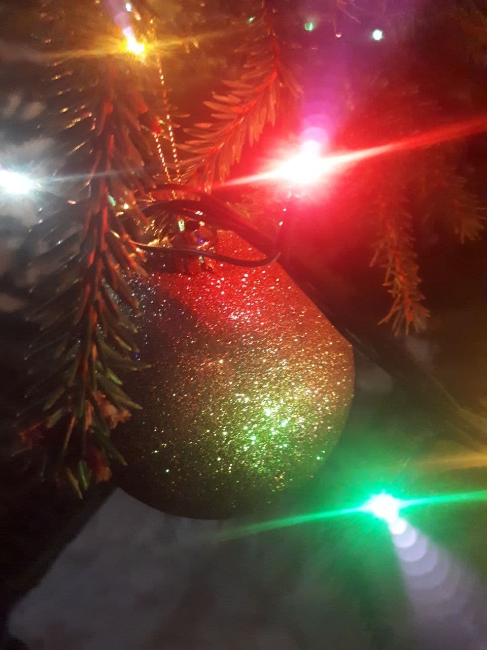 Елку за 6 рублей могут купить псковичи к Новому году