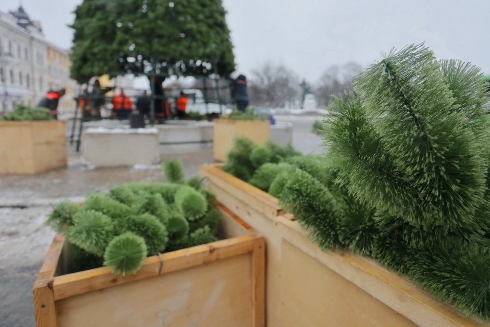 И вот она, нарядная И вот она, нарядная