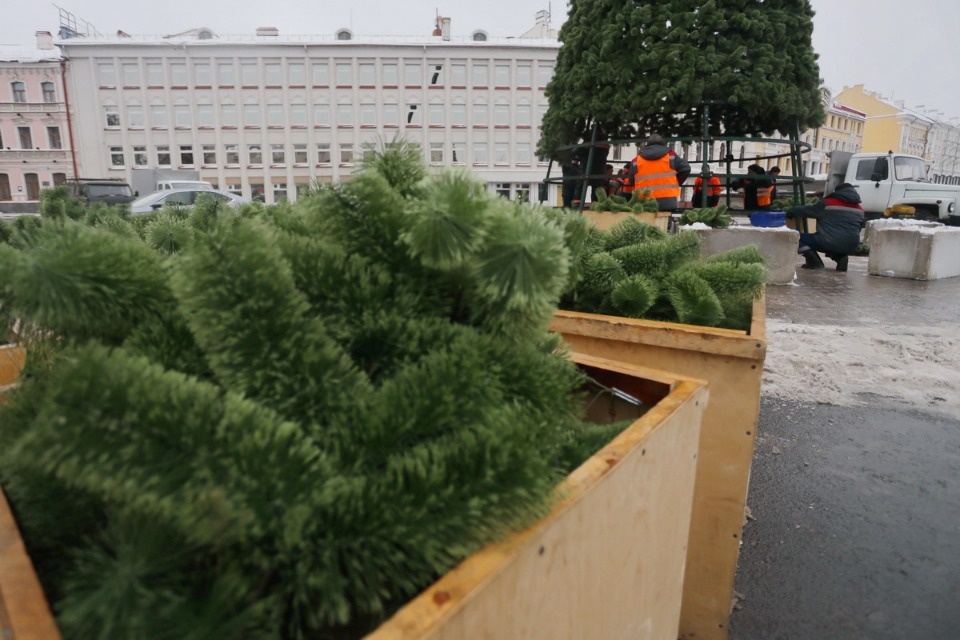 И вот она, нарядная И вот она, нарядная