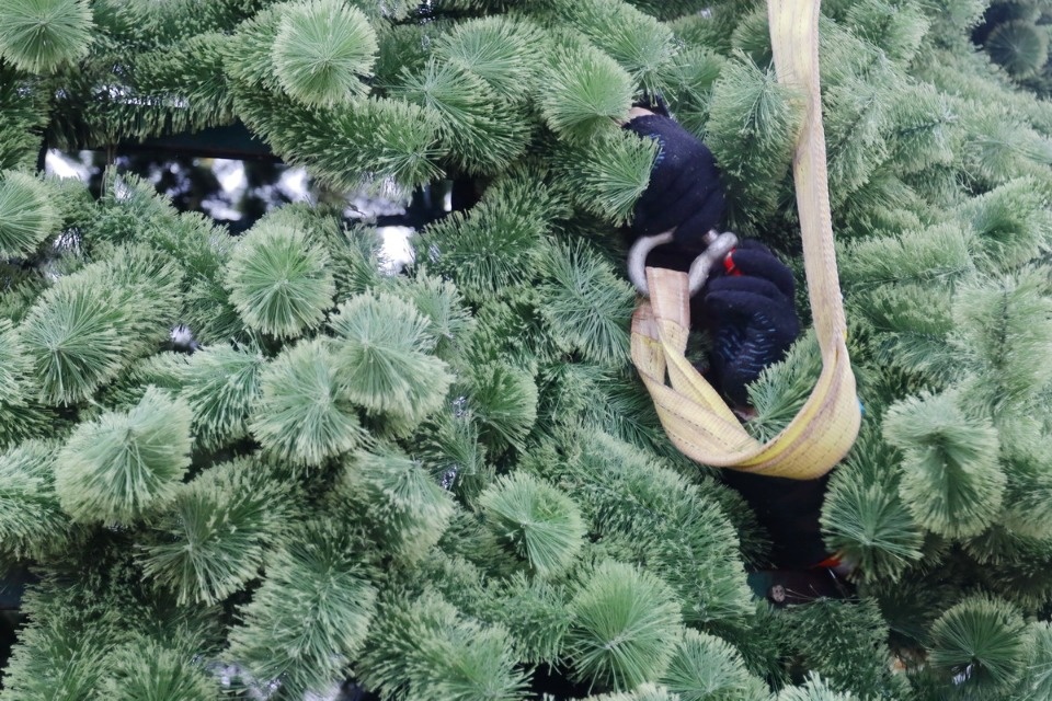 И вот она, нарядная И вот она, нарядная