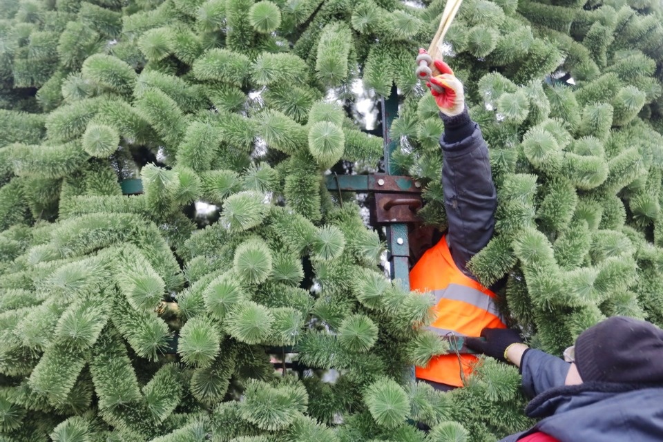 И вот она, нарядная И вот она, нарядная