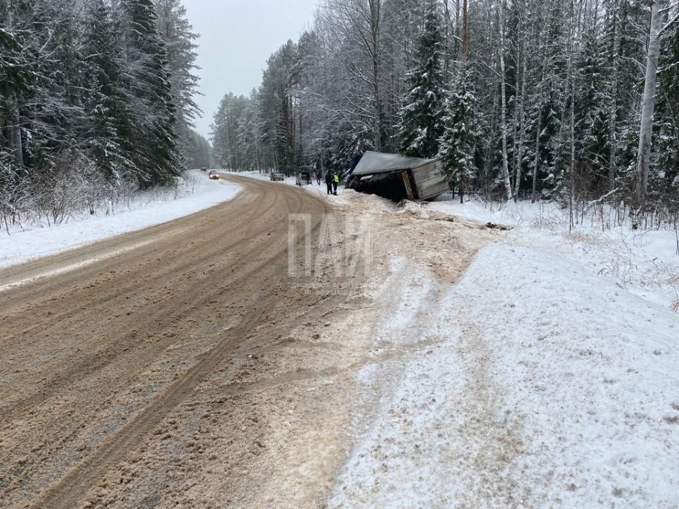Фура  опрокинулась в кювет в Гдовском районе