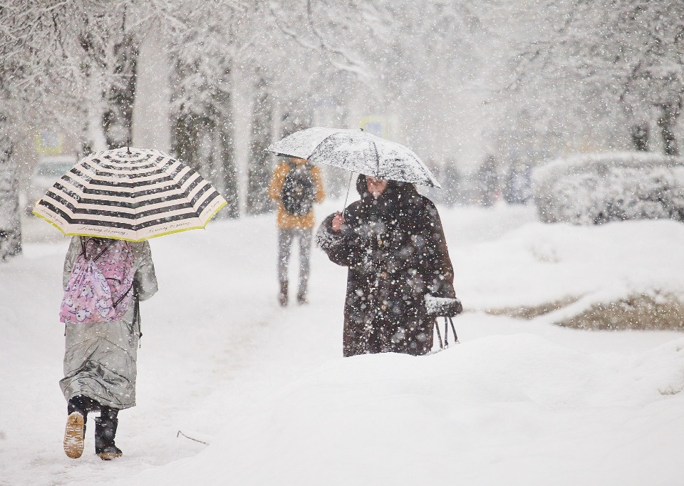 В ночь на 15 декабря по Псковской области ожидается снегопад В ночь на 15 декабря по Псковской области ожидается снегопад