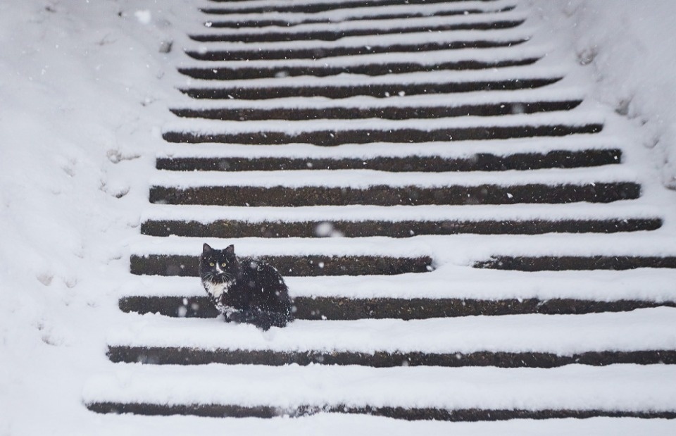 До -4 градусов опустится температура воздуха в Псковской области в ночь на 15 декабря