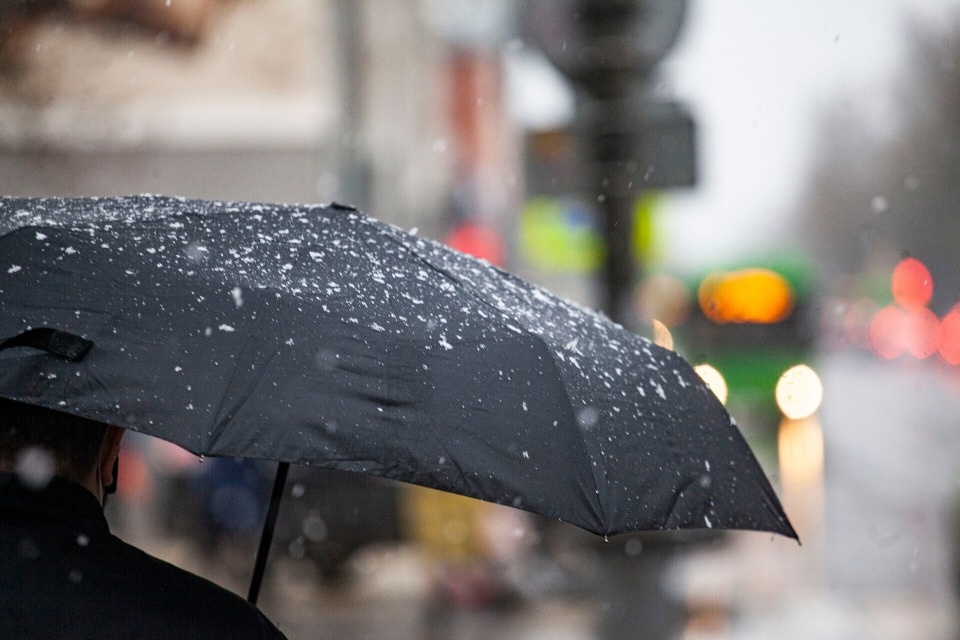 Небольшие осадки и до +4 градусов прогнозируются в Псковской области 16 декабря