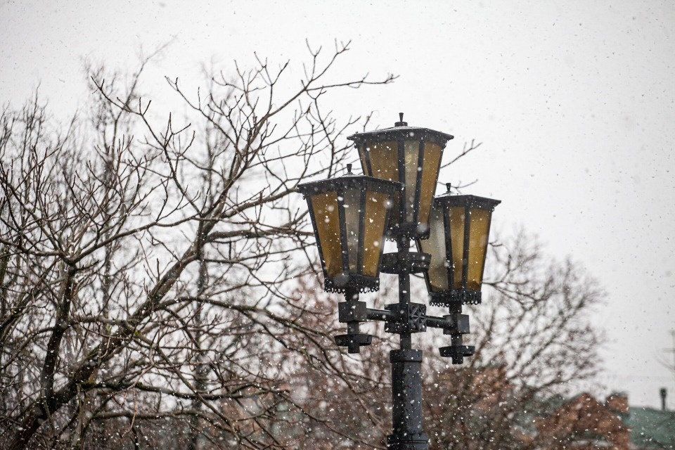 До 3 градусов тепла прогреется воздух в Псковской области 17 декабря