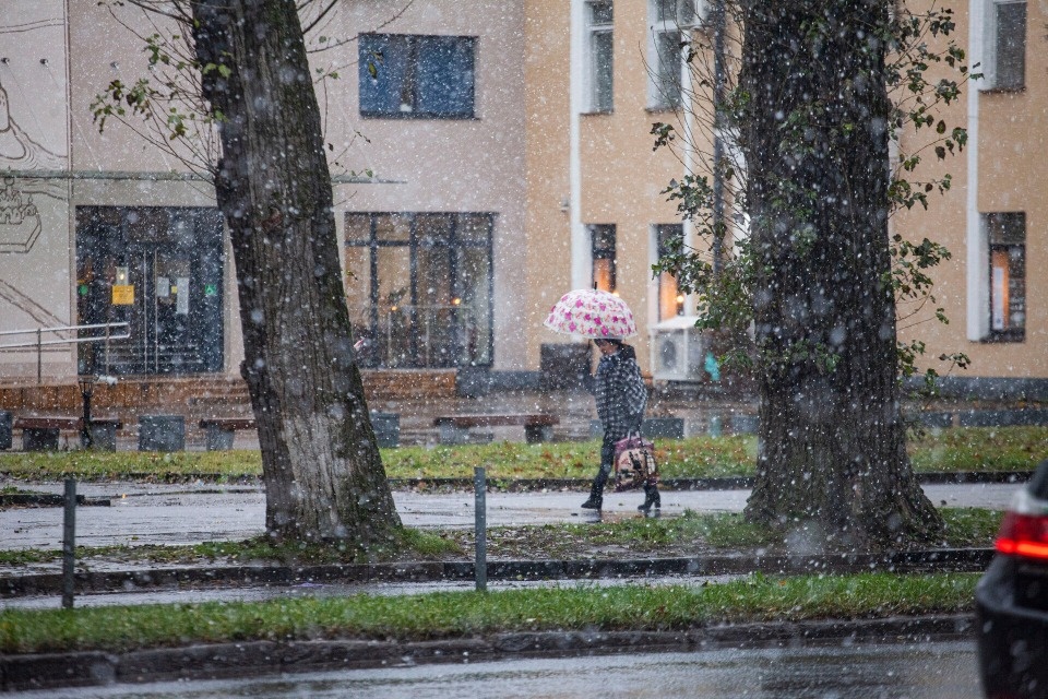 Мокрый снег и до +3 градусов ожидаются в Псковской области 18 декабря Мокрый снег и до +3 градусов ожидаются в Псковской области 18 декабря