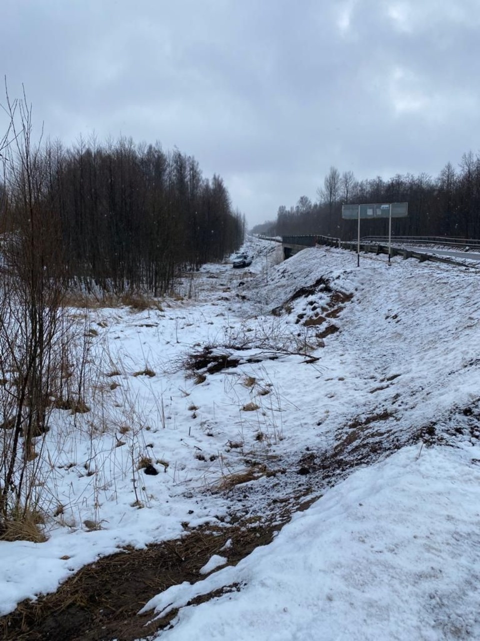 Две женщины погибли в результате падения машины в реку в Гдовском районе