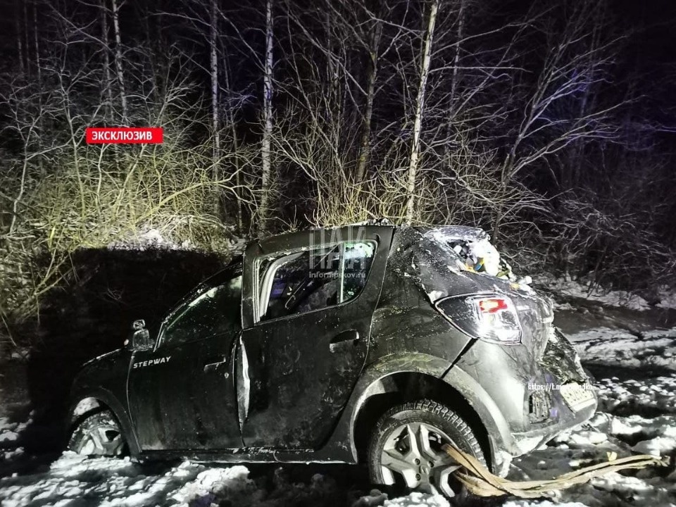 Водитель погиб в результате ДТП в Стругокрасненском районе