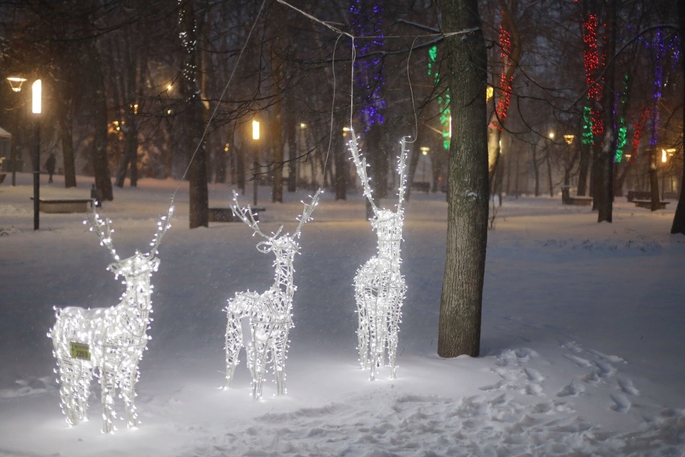 До -10 градусов и небольшой снег ожидаются в Псковской области 20 декабря