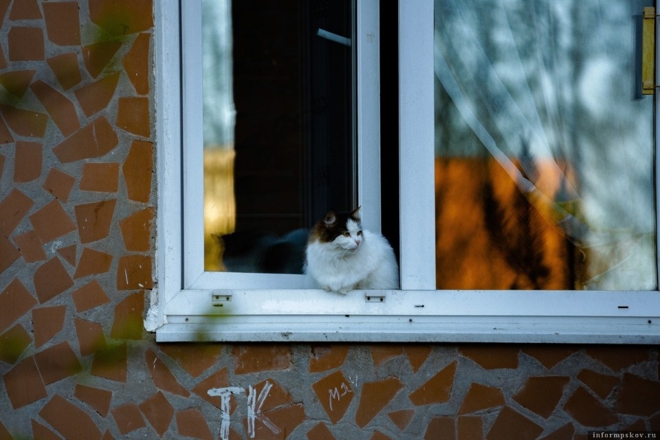 Эксперт: Снижение цен на недвижимость в Псковской области не предвидится в 2022 году