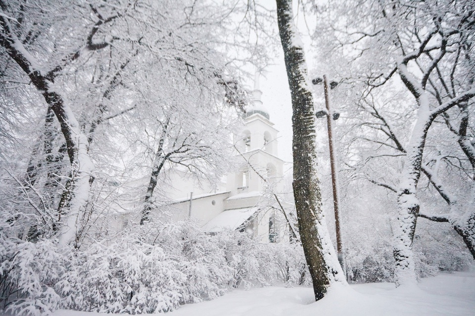 До -8 градусов и снег ожидаются в Псковской области 24 декабря