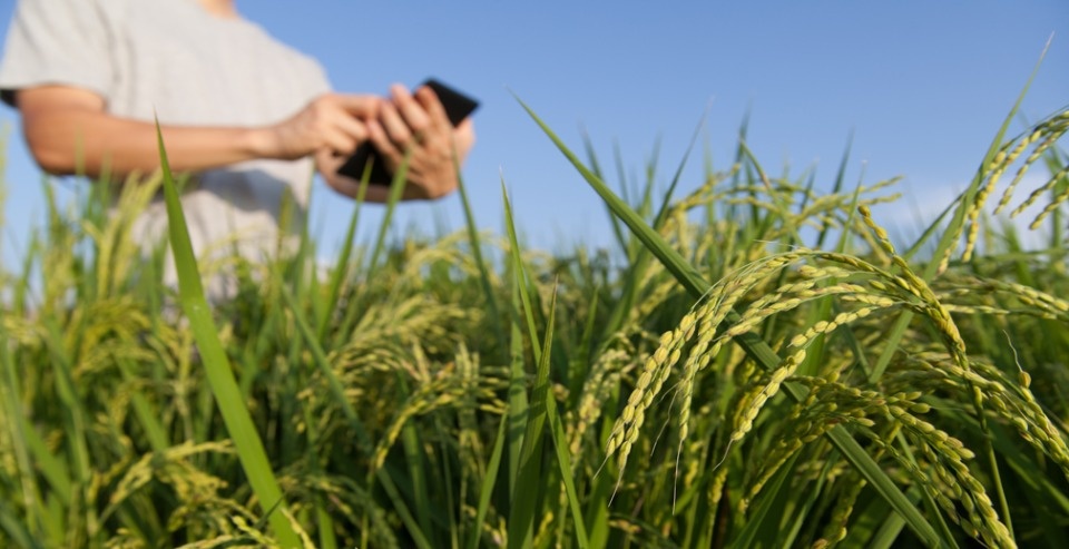 Россельхозбанк пополнил экосистему Своё Фермерство комплексным цифровым ресурсом для животноводов