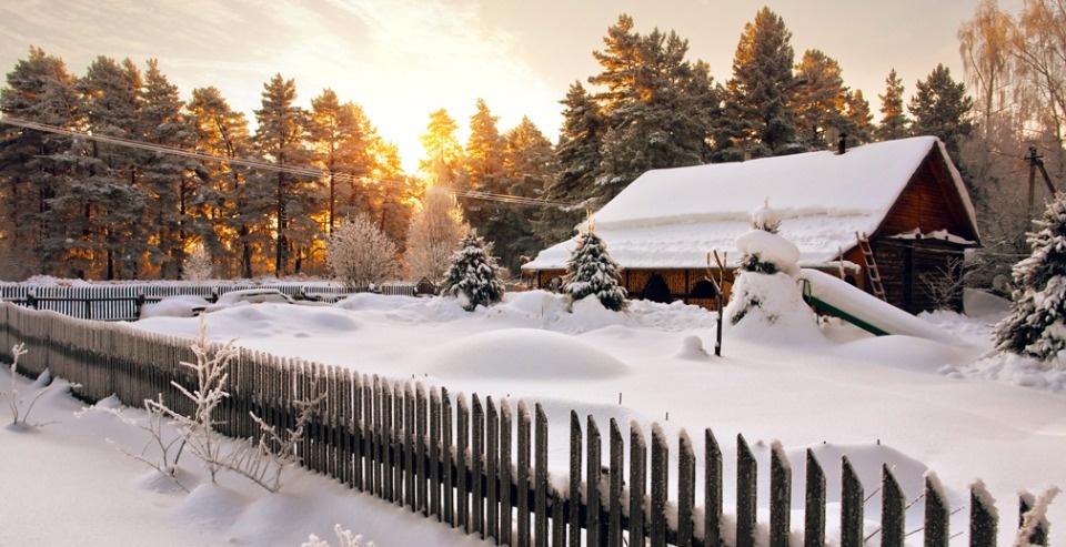РСХБ: к 2030 году в 10 регионах сельское население может вырасти на 870 тысяч человек