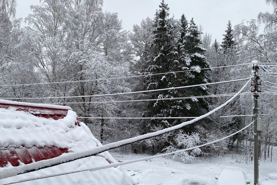 Отключения электроэнергии из-за непогоды не носили массовый характер в Псковской области