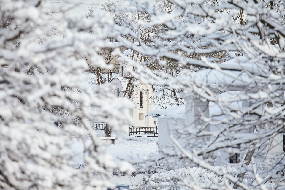 Небольшой снег и до +2 градусов ожидаются в Псковской области 6 января