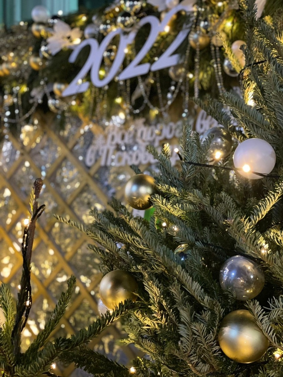 Новогодняя фотозона появилась у железнодорожного вокзала в Пскове