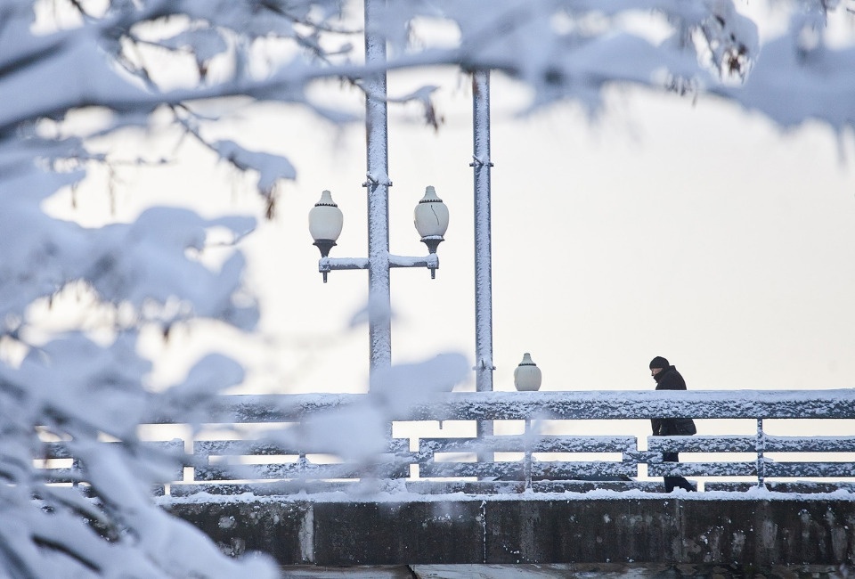 Туман и до -15 градусов прогнозируются в Псковской области 11 января
