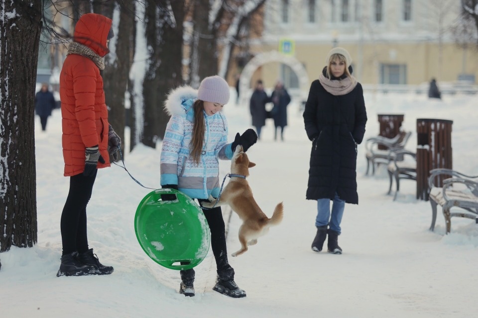 Новогодняя волна