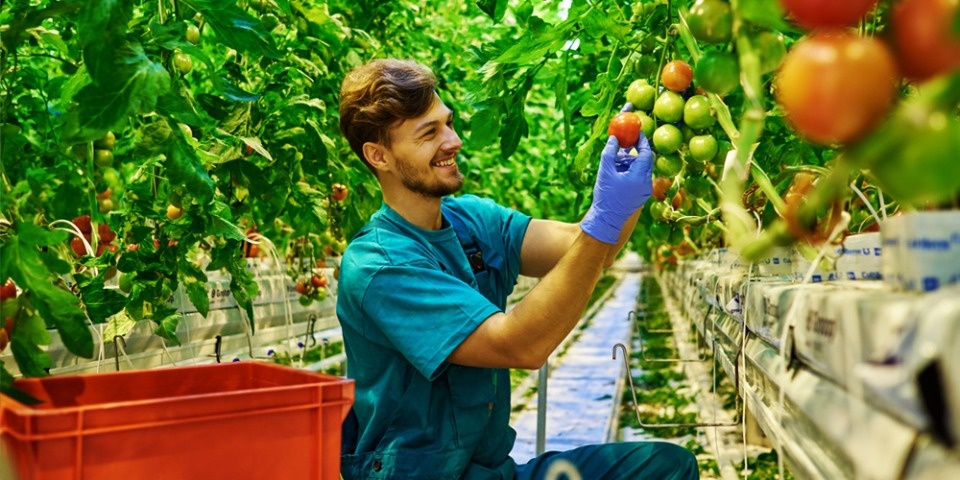 Фермерский бизнес будущего: что будут выращивать российские фермеры на горизонте 20-30 лет