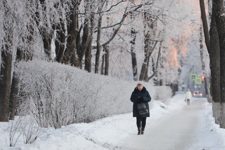 Мороз и иней Мороз и иней