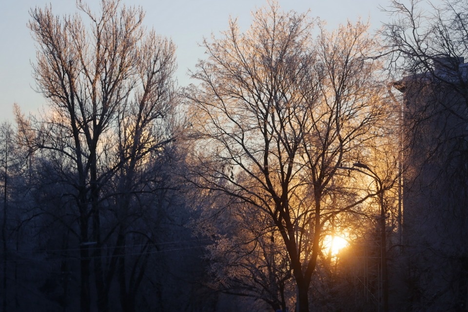 Мороз и иней Мороз и иней