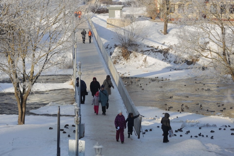 Мороз и иней Мороз и иней