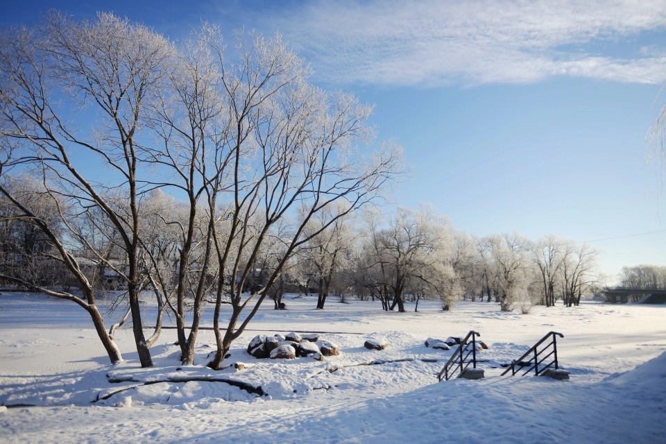 До 3 градусов тепла прогреется воздух в Псковской области 14 января