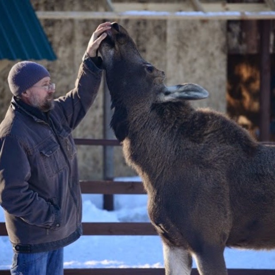 Михаил Ведерников прокомментировал закрытие пушкиногорского «Зоограда»