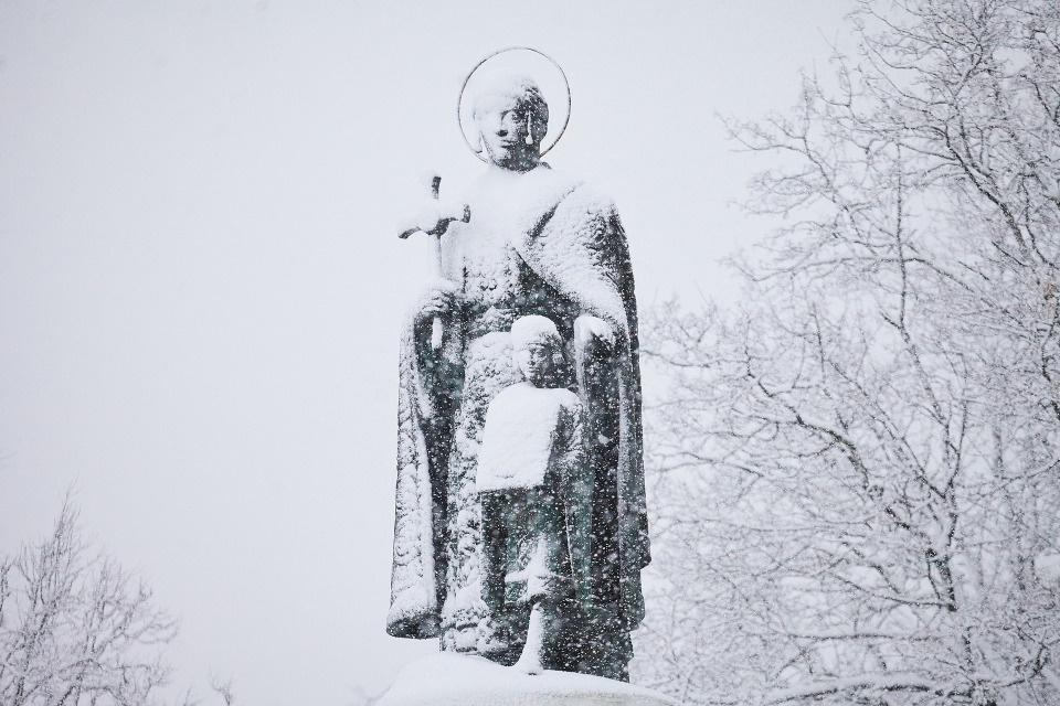 Снег и метель ожидаются в Псковской области 17 января