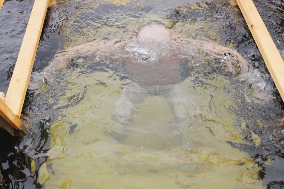 Метод погружения