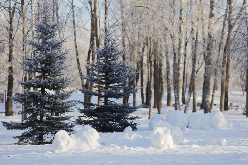 До 5 градусов мороза похолодает в Псковской области 21 января