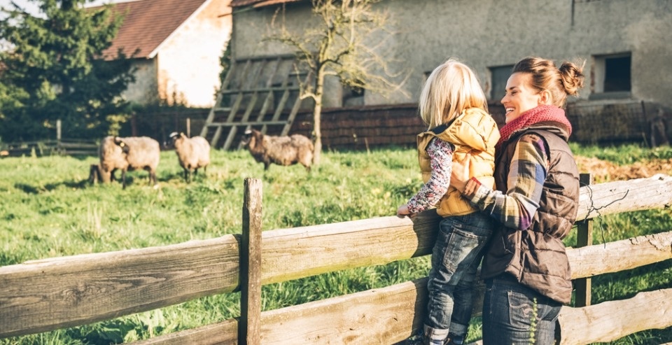 Клиенты РСХБ могут вернуть 20% стоимости путешествий по России с картой «Мир»