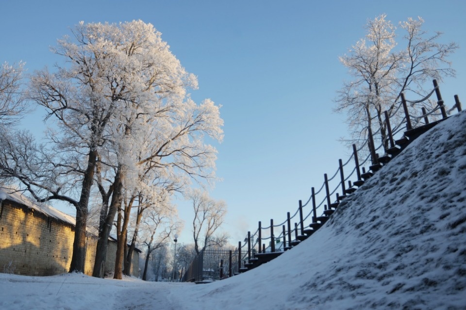 До -9 градусов ожидается в Псковской области 23 января