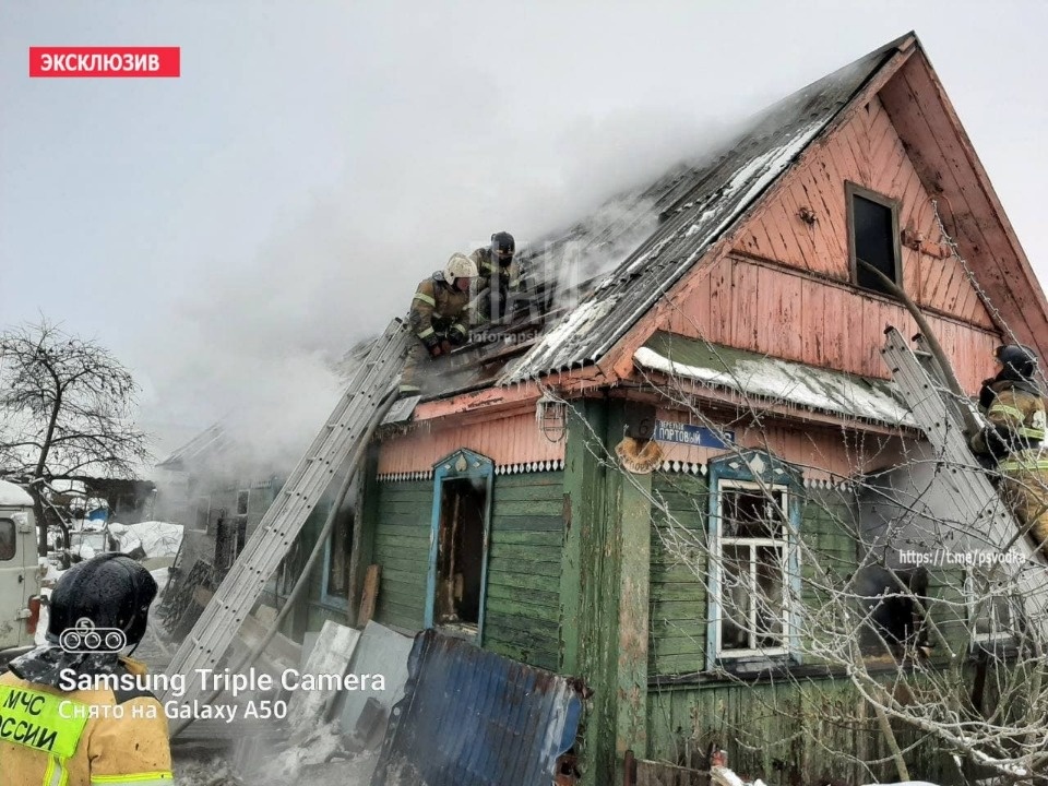 Собака и порядка 50 кошек погибли при пожаре в Великих Луках Собака и порядка 50 кошек погибли при пожаре в Великих Луках