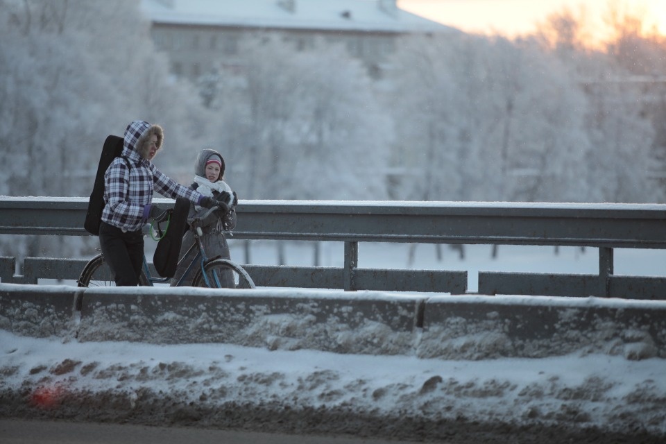 До 2 градусов тепла прогреется воздух в Псковской области 27 января