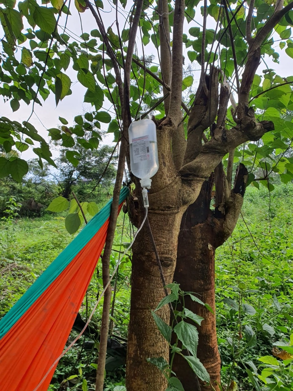 «Хотят или съесть, или убить»