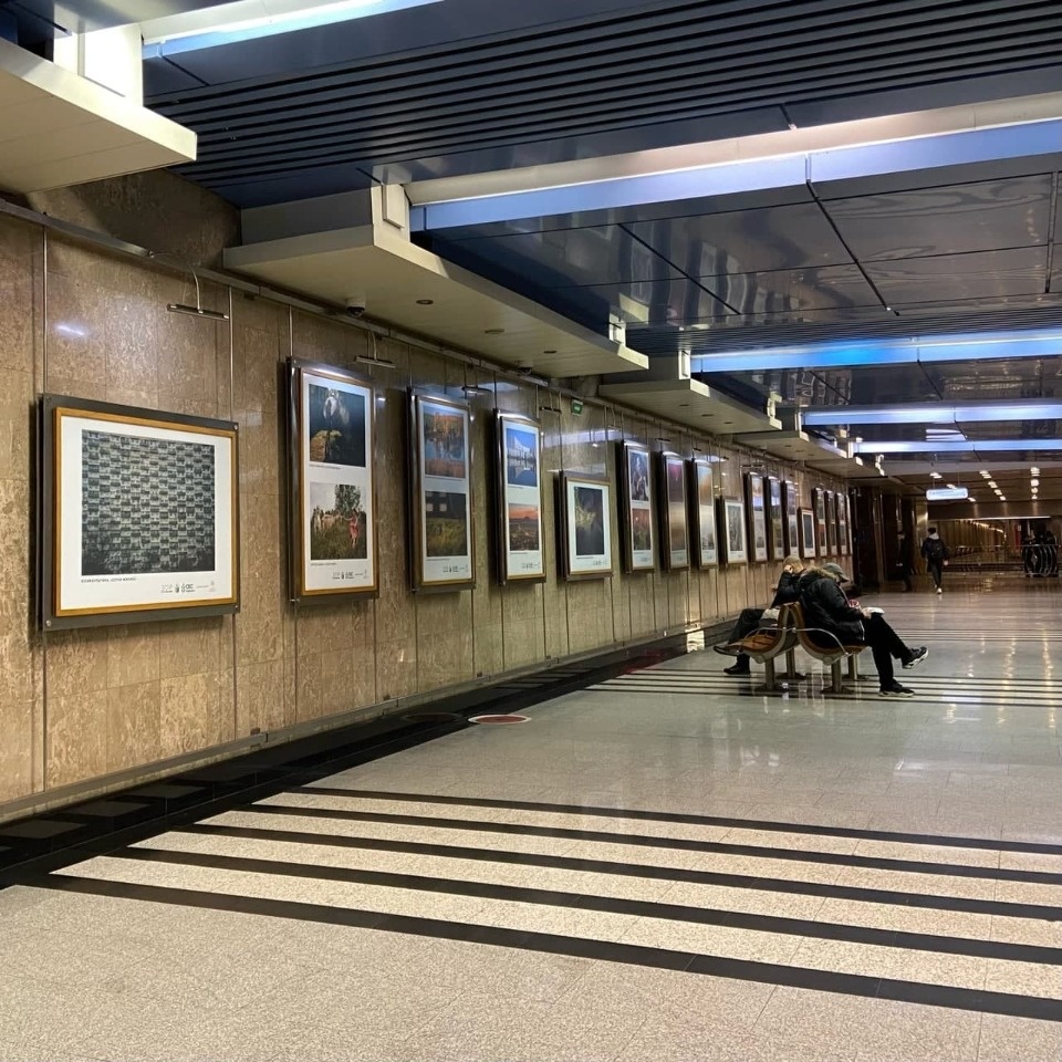 На выставке в Москве представили фотографию Себежского района